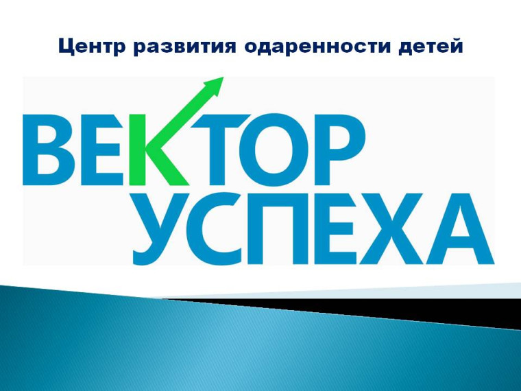 «Вектор успеха».